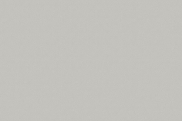 ЛДСП 2750*1830*16 Фон платина