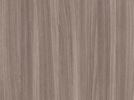 Кромка с клеем 19мм Вяз овид