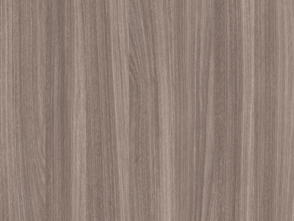 Кромка с клеем 19мм Вяз овид